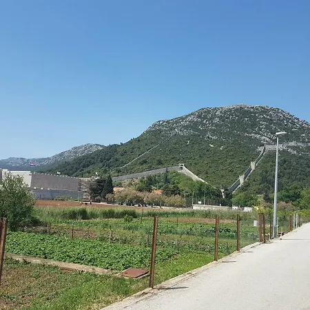 Manuela Ii *